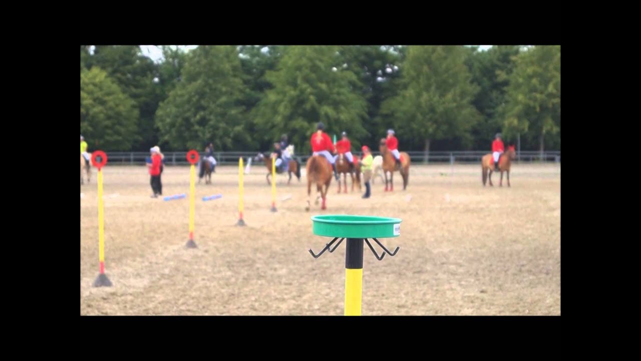Landsfinalerne 2014 - Ponygames afd  B