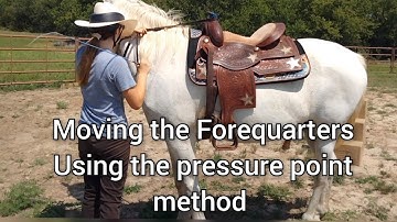 Moving the forehand on the ground using the pressure point method