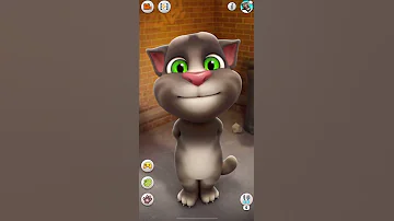 Talking Tom says Hello Tom