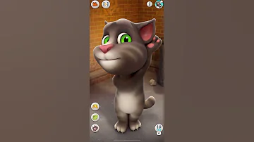Talking Tom Says Hello Tom 