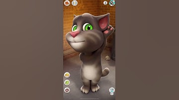 Thumbnail of Talking Tom says Hello Tom