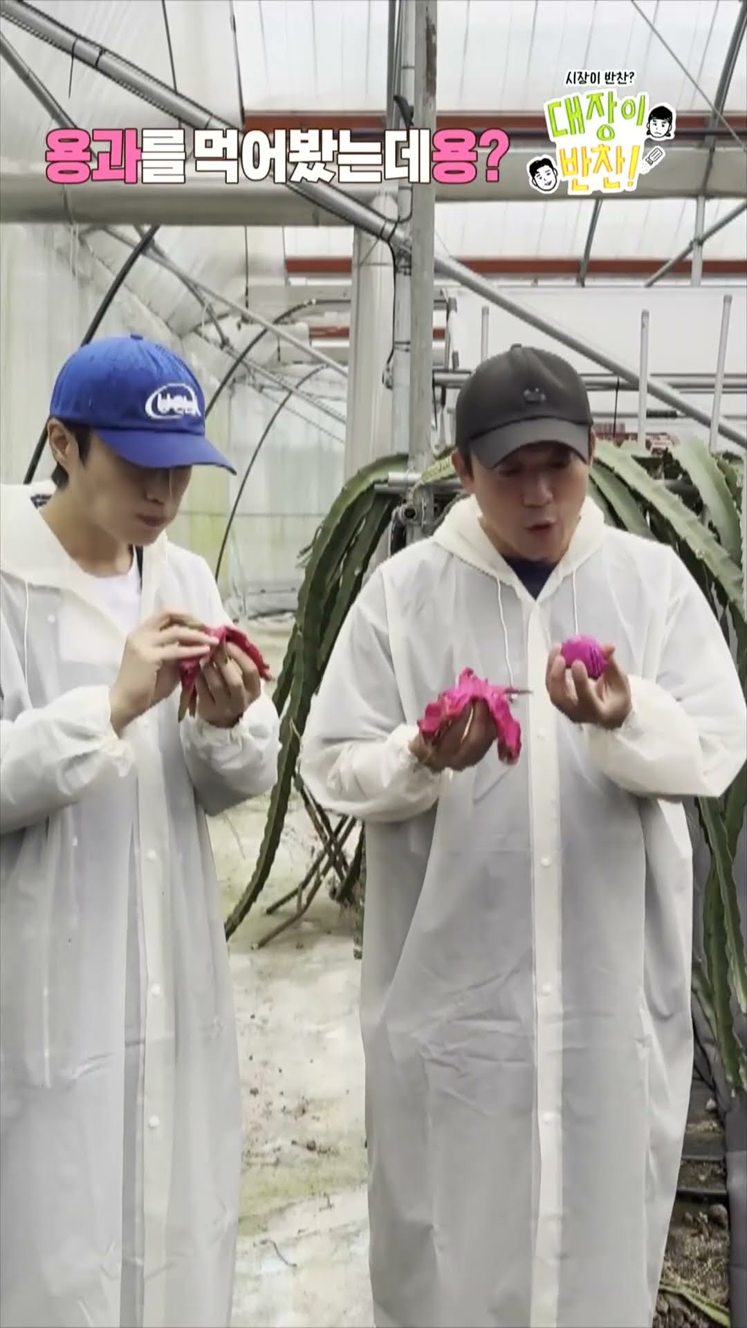 [대장이 반찬] 예? Don’t go요? #대장이반찬 #윤두준 #김대호, MBC 241201 방송
