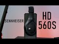 Sennheiser HD 560S Review