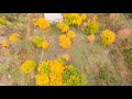 Fall colors from a drone  gopro hero 8 reelsteady