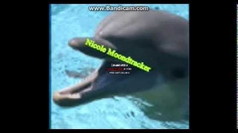 FreeRealms What The Hell MEP