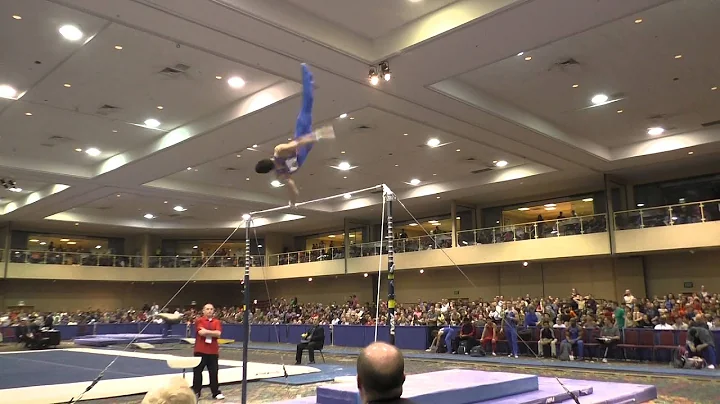 Peter Daggett  High Bar  2015 Winter Cup Finals