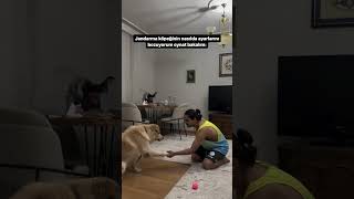 En Sevdiğin Köpek Cinsi Ne🤪