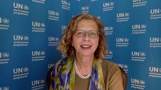 Inger Andersen, Executive Director of UNEP – Restoration Seed Capital Facility