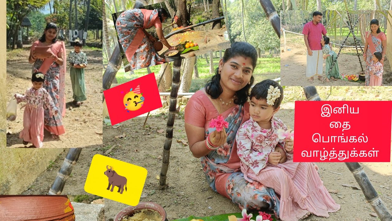 🌾கிராமத்து தை பொங்கல்🌞 | Village Pongal Celebration🥳 | Pongal Festival✨