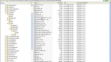 T2Ti ERP - Java - 2 e 3 Camadas - Video Aula 08 - Testes