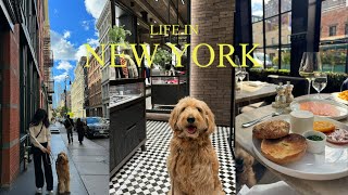 NYC Vlog | 뉴욕 일상 브이로그 | 소호 쇼핑 | 웨스트빌리지 | 뉴욕 로컬 맛집 | KHAITE | 몽클레어 | 스포티앤리치 | 강아지와 뉴욕