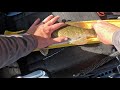 Smallmouth TANK Gets Away Through Kayak Floor