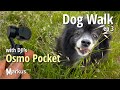 Dog Walk with DJI's Osmo Pocket - ep 3 #shorts