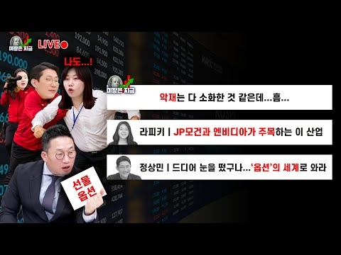 악재는 다 소화한 것 같은데...흠...ㅣ라피키 'JP모건과 엔비디아가 주목하는 이 산업'ㅣ정상민 '드디어 눈을 떴구나...옵션의 세계로 와라'