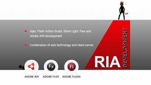 Rich Internet Application