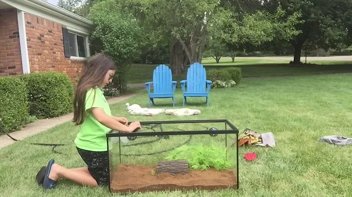 How to setup a Russian Tortoise enclosure