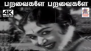 Paravaigale Paravaigale K.V.மகாதேவன் இசையில் P.சுசிலா பாடிய பாடல் பறவைகளே பறவைகளே