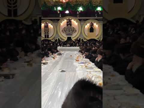 Chol Hamoed Sukkos 5782 With Bobover Rebbe