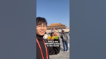 This is the BIGGEST palace in the world! 🤯👑🐲 #china #beijing #chinatravel #forbiddencity #palace