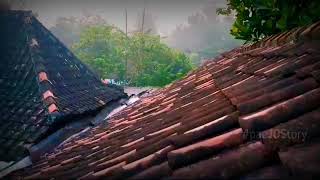 story WA Pemandangan desa Pagi Hari || Story Wa Emas Hantaran