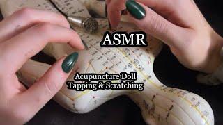 ASMR Fast Tapping On The Acupuncture Doll! Not Aggressive, No Talking ᵕ̈