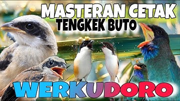 DAHSYAT!MASTERAN CENDET FULL TEMBAKAN TENGKEK BUTO WERKUDORO PANJANG AMPUH RAHASIA CETAK CENDET