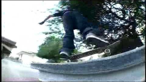 Chris Cole - In Bloom - TransWorld SKATEboarding
