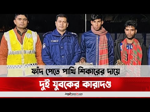 ভিডিও: শিকারের সংজ্ঞা কি?