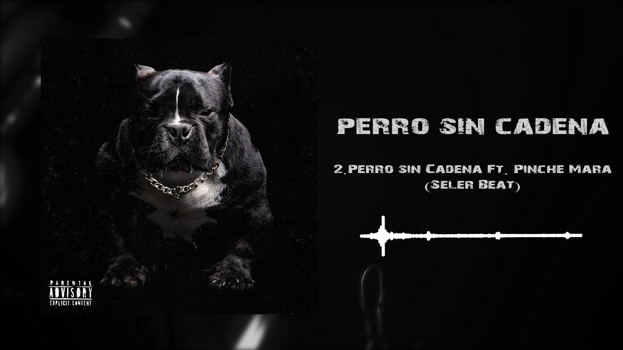 02.- Perro sin Cadena Feat. Pinche Mara - YouTube