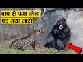 20 ऐसे जानवर जिन्होंने अपने मौत को खुद दावत दिया 20 ANIMALS MESSED WITH THE WRONG OPPONENT