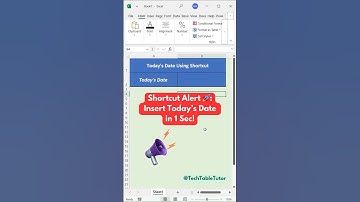 Excel Shortcut: Insert Today