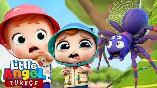 Böcekleri Öğreniyoruz Sevimli Hayvanlar Ve Eğitici Çizgi Film