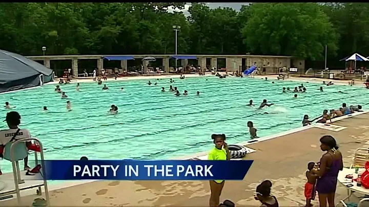 Party in the Park