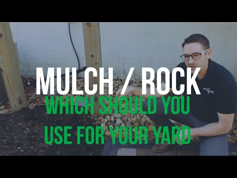 Video: Shell rock size: price, features, pros and cons