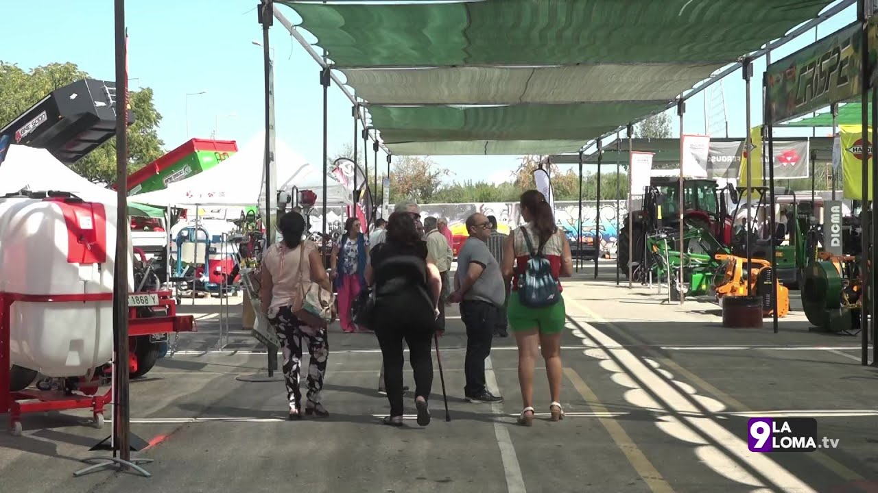 FEMA Úbeda 2023 · P1 1 FEMA Úbeda 2023 · P1