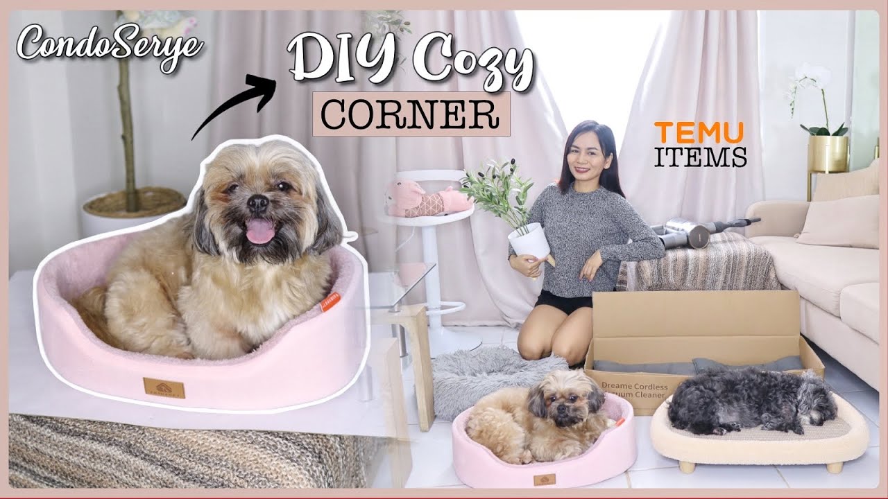CondoSerye : DIY Cozy Home Corner (if you love dogs) ♥️