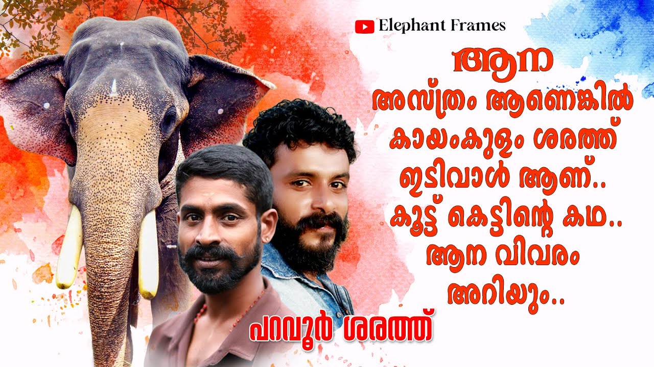 കായംകുളം ശരത്തിന്റെ തോട്ടിയും കയ്യിലിരിക്കുന്ന പണിയും വേറെയാണ്./പറവൂർ sharath/elephant frames