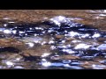 【自然の音】水面のきらめき / 1 Hour Nature Sounds - The Sparkling of Lights on the Surface of the Stream