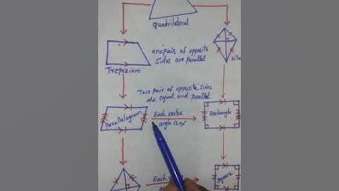Martinet class-8 (T.S) maths| Types of quadrilaterals|Ch-3 construction of quadrilaterals