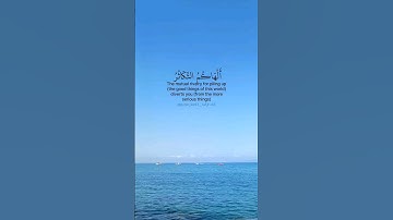 سورة التكاثر . ألهاكم التكاثر حتى زرتم المقابر، بصوت القارئ سعد الغامدي.
