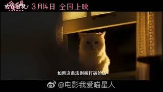 Catman, Sehun EXO movie trailer