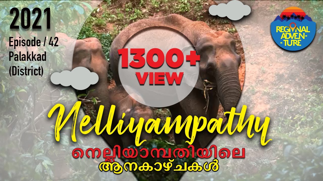 Nelliyampathy Off-road - Open 2021 august