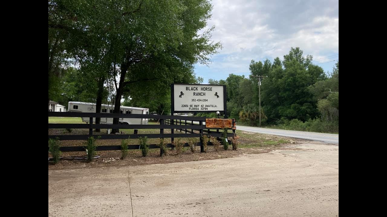 Black Horse Ranch Resort 2021 Florida YouTube