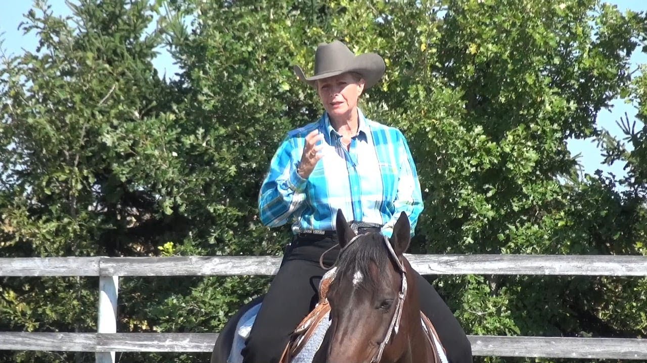 2x Éperons Western pour Cheval Dressage Loisirs Équitation Entraînement
