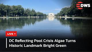 LIVE: Washington DC Landmark Turns Green as Algae Overtakes Reflecting Pool | DWS News | AA14