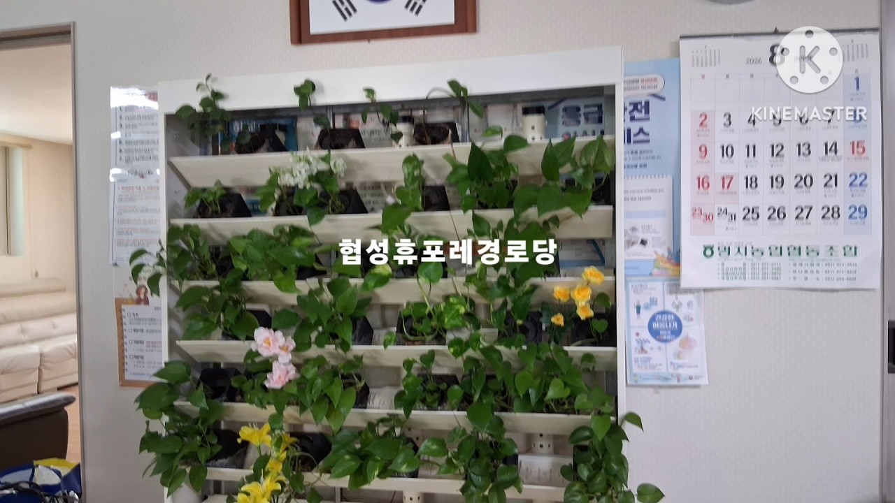 협성휴포레 경로당 홍보 동영상(대한노인회 부산강서구지회)