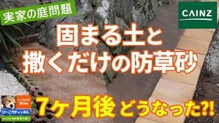 引き取り1万円【グラウンド・校庭のぬかるみ対策】★きめ細おがくず★茨城県周辺無料配送★大量1m3★昆虫　床　マット　畜産　堆肥　13 Vol. 224 Decluttering Extra Episode 7: [My Parents' Garden] Cainz