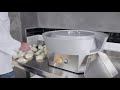 R10: Automatic pizza dough rounder by Friulco (extended version)