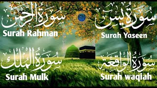 Most Beautiful Voice of Surah Yaseen ❤️ Surah Rahman ❤️ Surah Mulk ❤️ Surah Waqiah