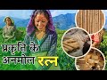 Explore the Timeless Crafts &amp; Organic Delights of Northeast India! | Vikas Darpan